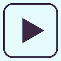 Cookie Hello Fort Myers Video 6